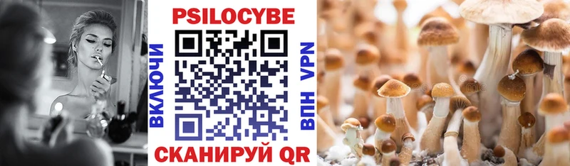 Купить закладки  Урай  Псилоцибиновые грибы MAGIC MUSHROOMS 